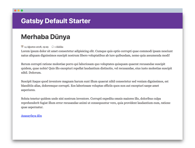 GatsbyJS ile hazırlanmış örnek makale sayfası